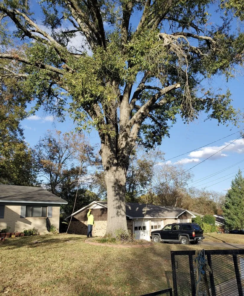 Expert outdoor landscaping in Tyler, TX - Bailey's Lawn And Tree Service