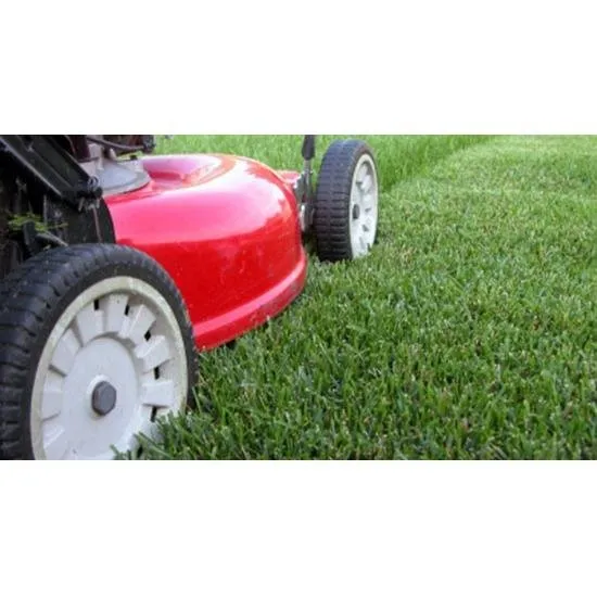 Professional residential landscaping in Richmond, KY by Bailey's Lawn Care