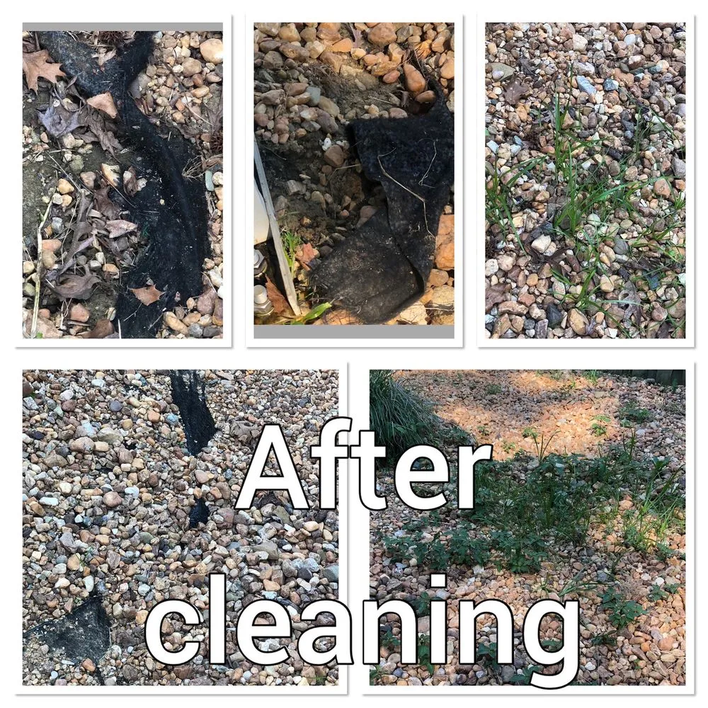 Reliable lawn mowing service experts serving Stafford, VA - Bailey's Lawn Care Services