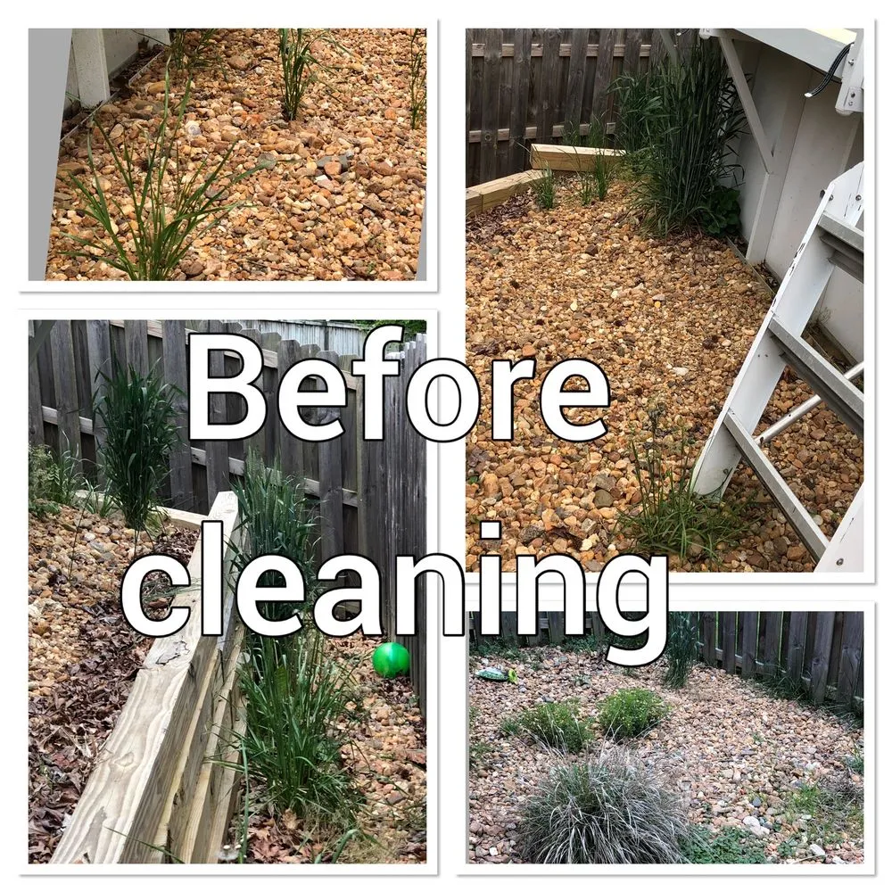 Expert lawn care service experts serving Stafford, VA - Bailey's Lawn Care Services