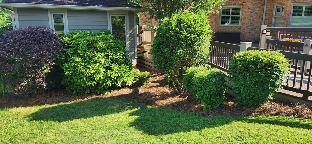 Reliable landscaping services in Wellford, SC - Bailey's Lawn Care