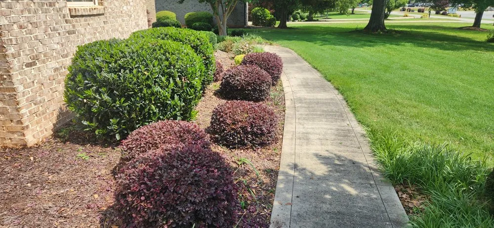 Custom outdoor landscaping for residential properties across Wellford, SC - Bailey's Lawn Care