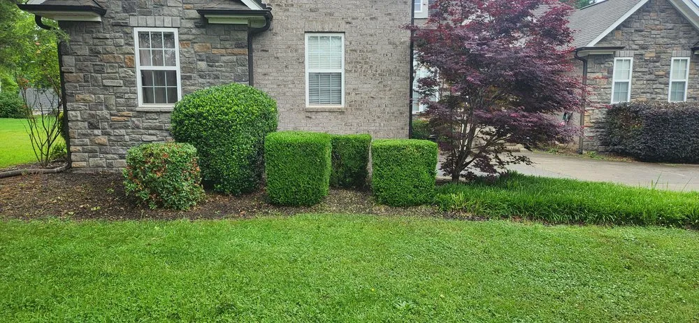 Professional garden landscaping experts serving Wellford, SC - Bailey's Lawn Care