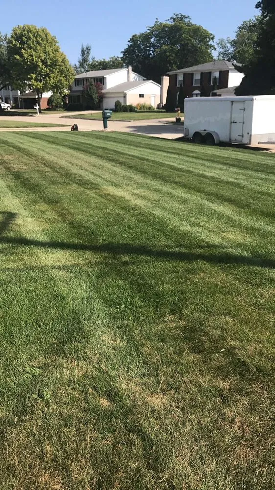 Reliable yard maintenance for year-round maintenance in Shelby Township, MI by Bailey's Property Management Firm