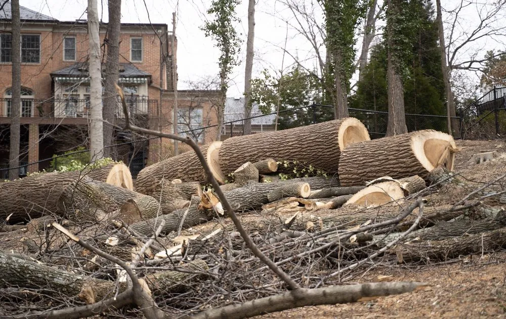 Expert landscape design experts serving Birmingham, AL - Bailys Landscaping