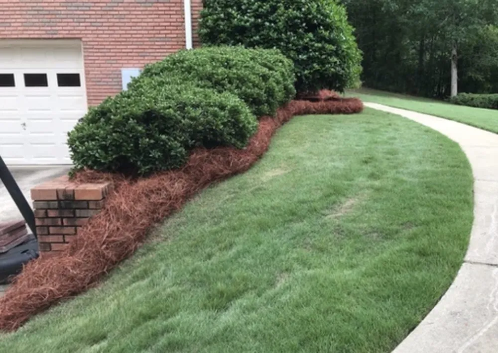 Affordable lawn care service in Birmingham, AL by Bailys Landscaping