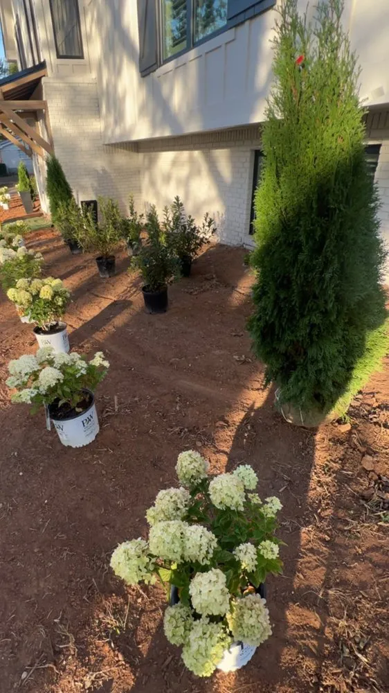 Top-rated yard cleanup service for year-round maintenance in Birmingham, AL by Bailys Landscaping