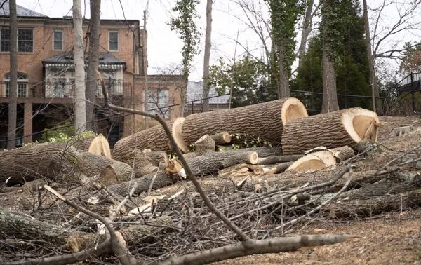 Bailys Landscaping Logo