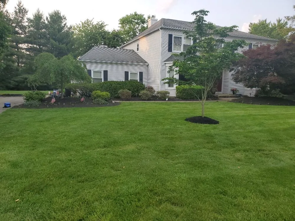 Custom lawn mowing service in Somerset, NJ - Bain's Allied Movement