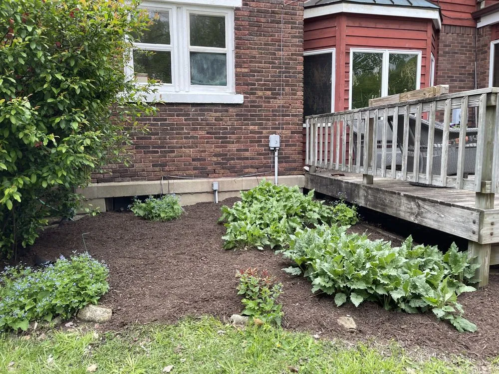 Custom lawn mowing service in Indianapolis, IN - Bain’s Exterior Solutions