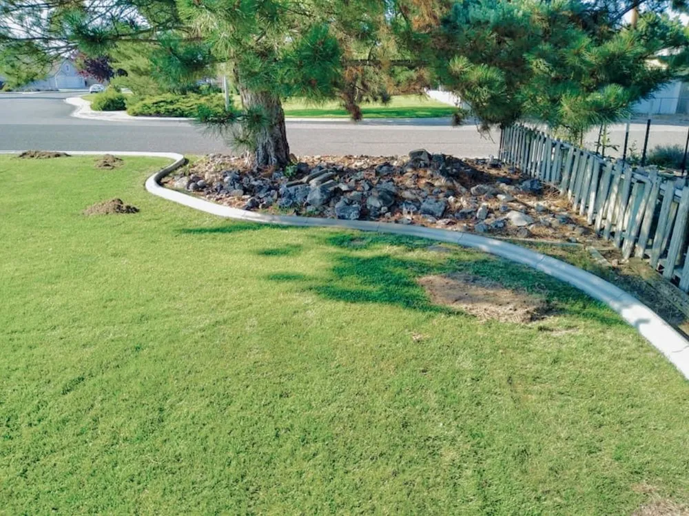Affordable lawn care service in Pasco, WA - Bair Curbing & Landcape