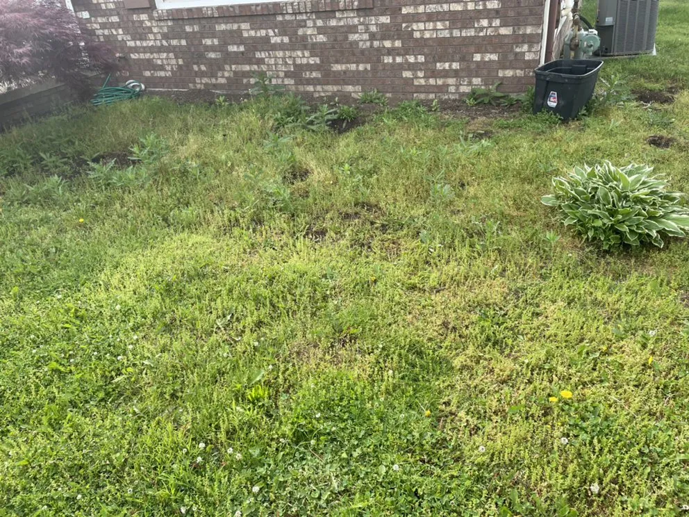 Affordable garden landscaping experts serving Port Washington, OH - Bair Foot Lawncare
