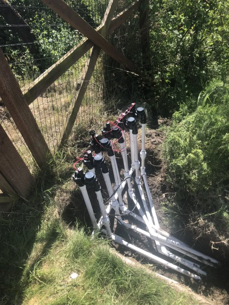 Local landscape installation in Santa Cruz, CA - Baires Landscaping