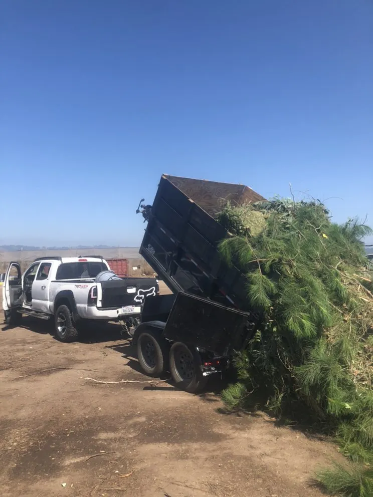 Local landscape installation in Santa Cruz, CA by Baires Landscaping