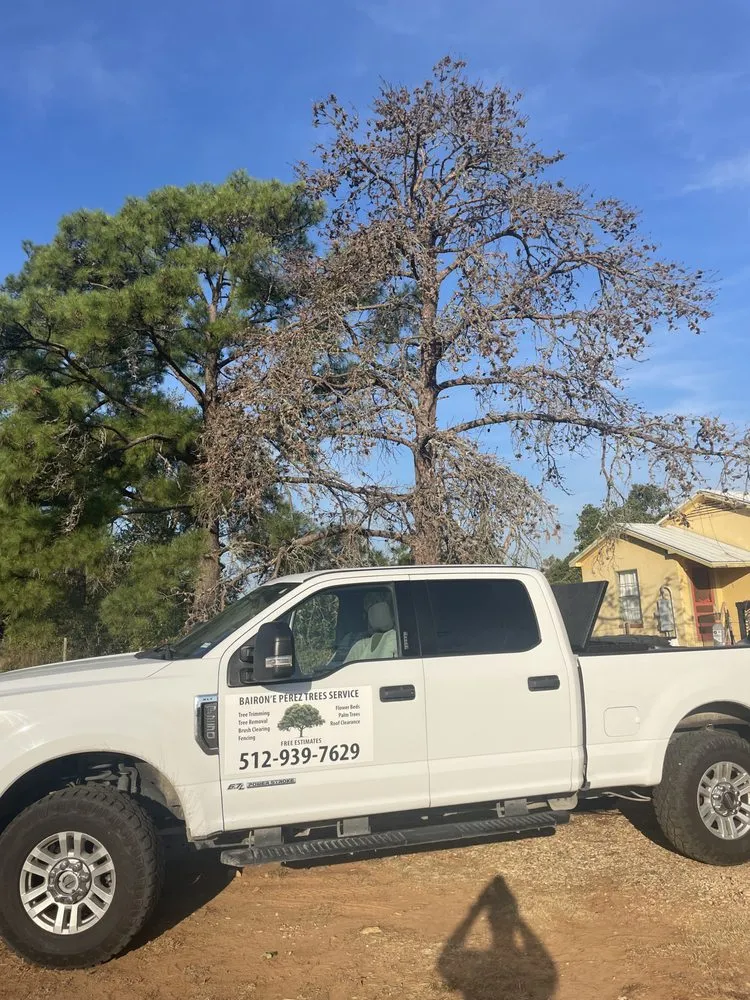 Trusted yard maintenance in Cedar Creek, TX - Bairon'e Perez Trees Service