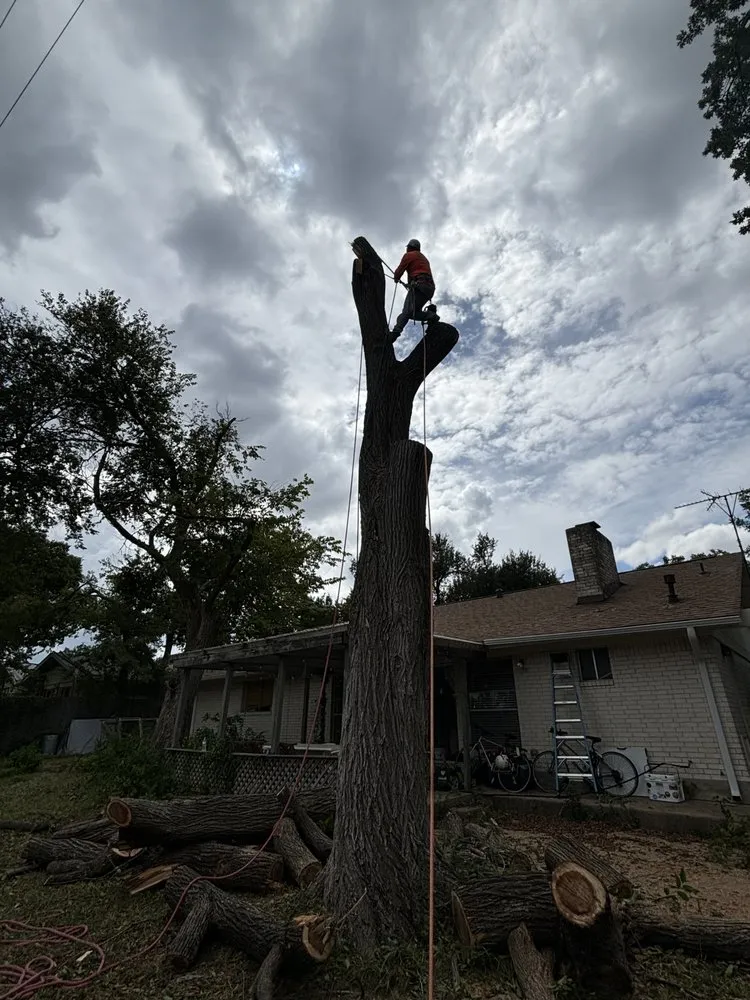 Expert landscaping services in Cedar Creek, TX - Bairon'e Perez Trees Service