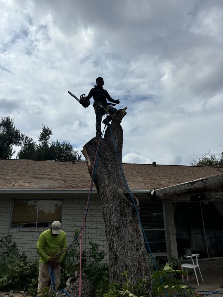 Expert landscaping services experts serving Cedar Creek, TX - Bairon'e Perez Trees Service