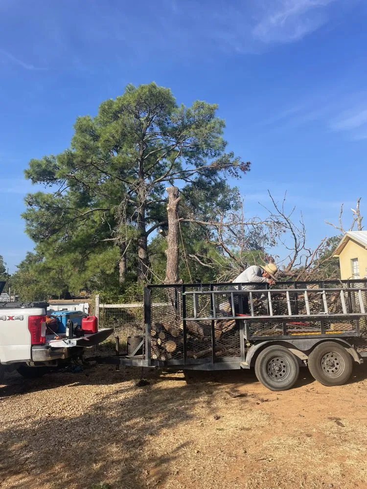 Professional residential landscaping experts serving Cedar Creek, TX - Bairon'e Perez Trees Service