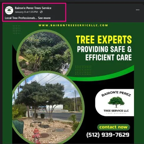Professional yard maintenance near you in Cedar Creek, TX by Bairon'e Perez Trees Service