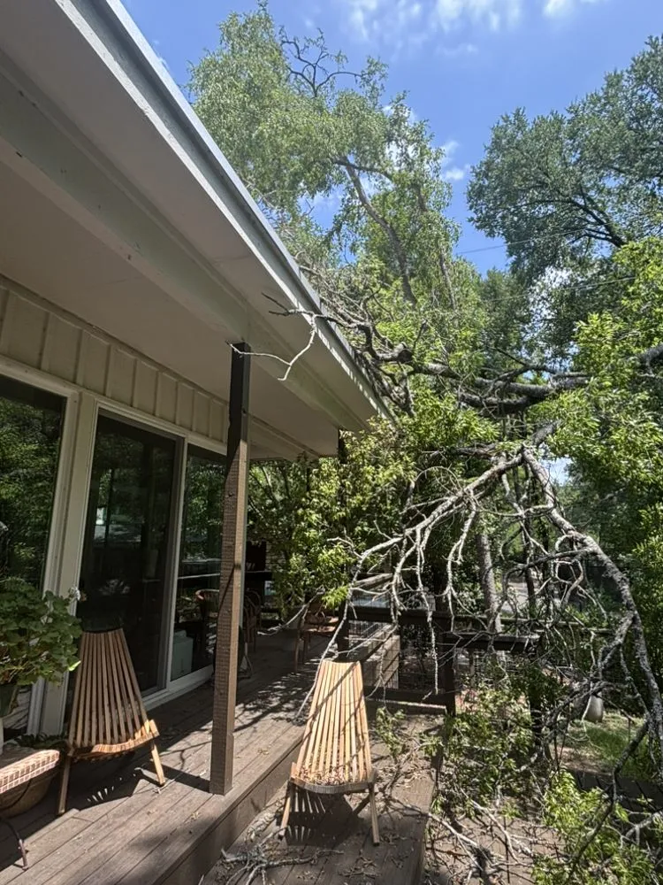 Professional lawn mowing service in Cedar Creek, TX by Bairon'e Perez Trees Service