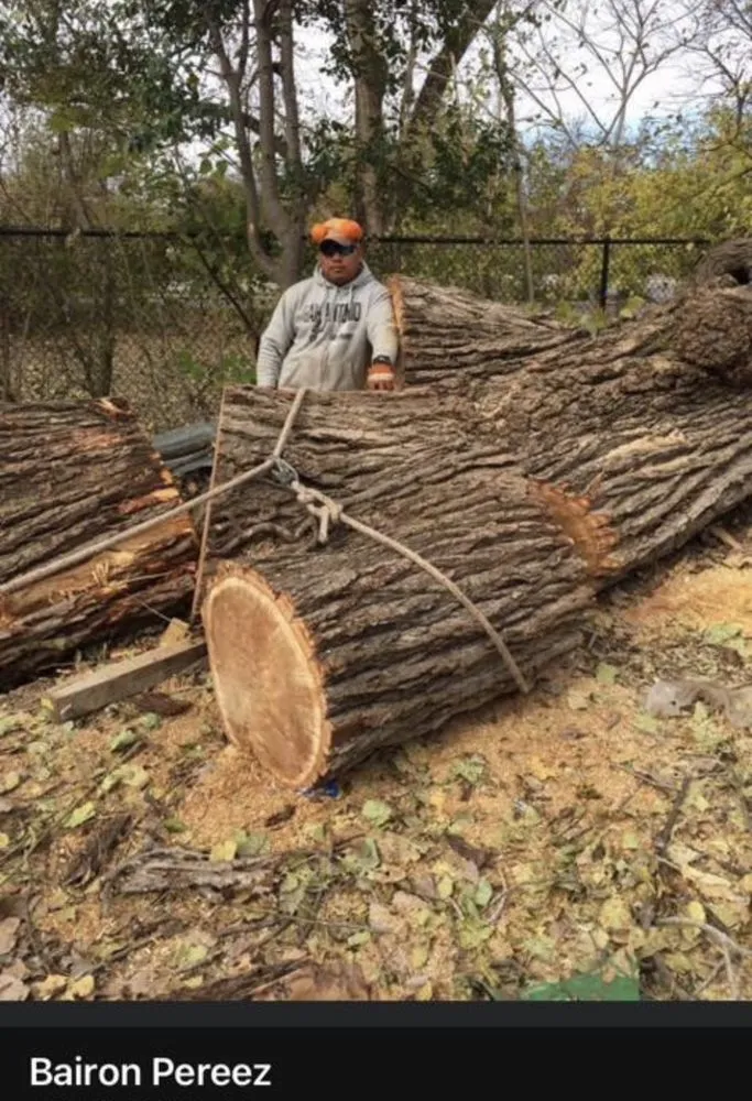 Top-rated outdoor landscaping for year-round maintenance in Cedar Creek, TX by Bairon'e Perez Trees Service