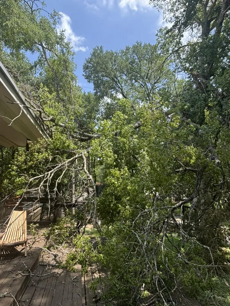 Affordable garden landscaping for year-round maintenance across Cedar Creek, TX - Bairon'e Perez Trees Service