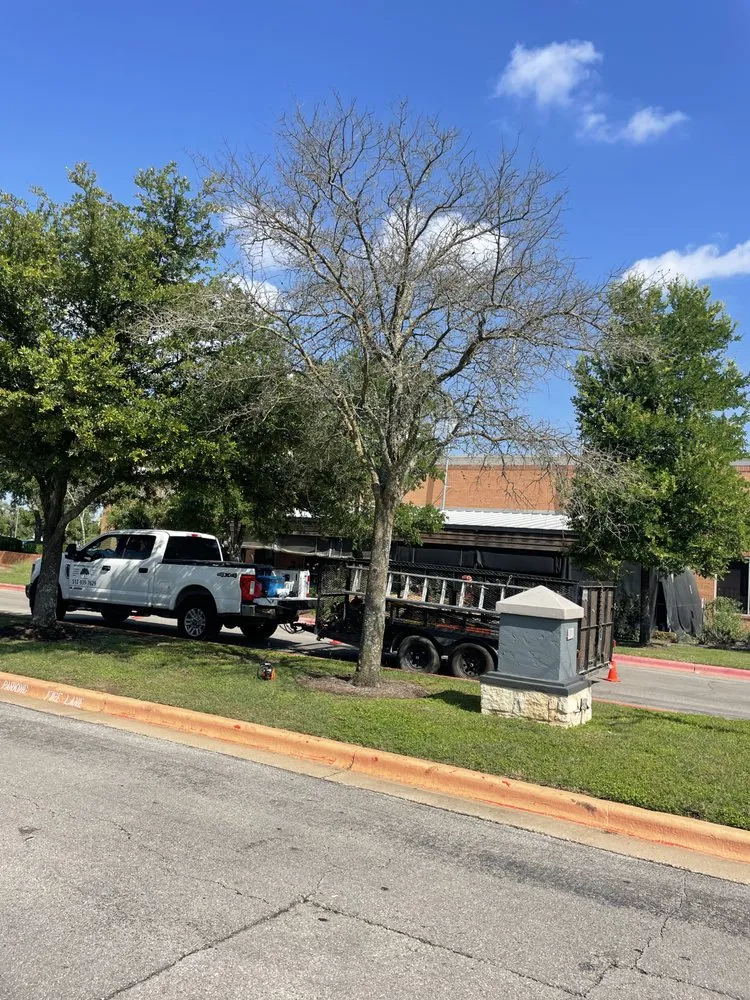 Professional landscaping services experts serving Cedar Creek, TX - Bairon'e Perez Trees Service