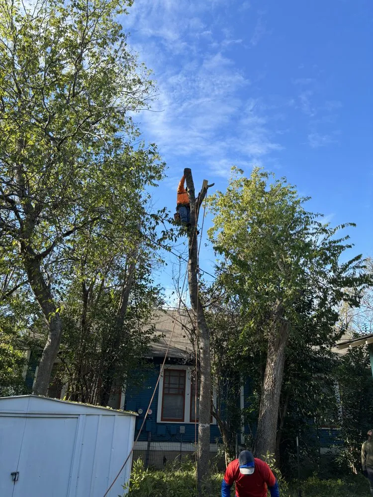 Professional lawn mowing service for year-round maintenance in Cedar Creek, TX by Bairon'e Perez Trees Service