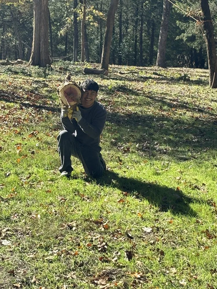 Reliable landscaping services in Cedar Creek, TX by Bairon'e Perez Trees Service