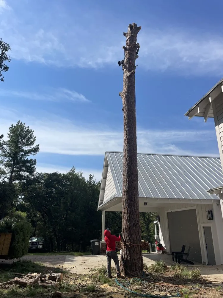 Local garden landscaping experts serving Cedar Creek, TX - Bairon'e Perez Trees Service