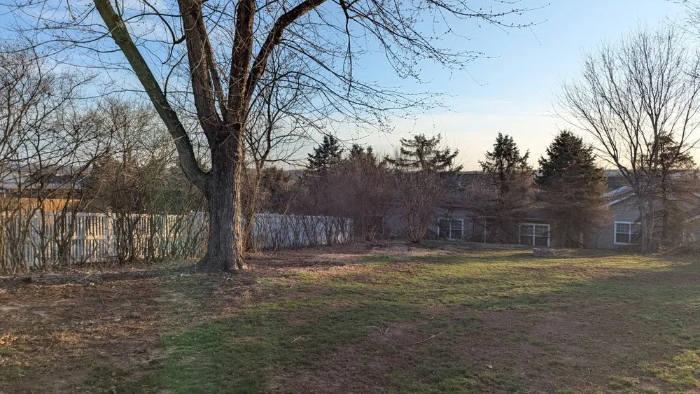 Expert yard cleanup service experts serving Sellersville, PA - Bair's Tree & Lawn Service