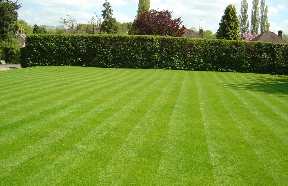 Top-rated lawn mowing service near you across Sellersville, PA - Bair's Tree & Lawn Service