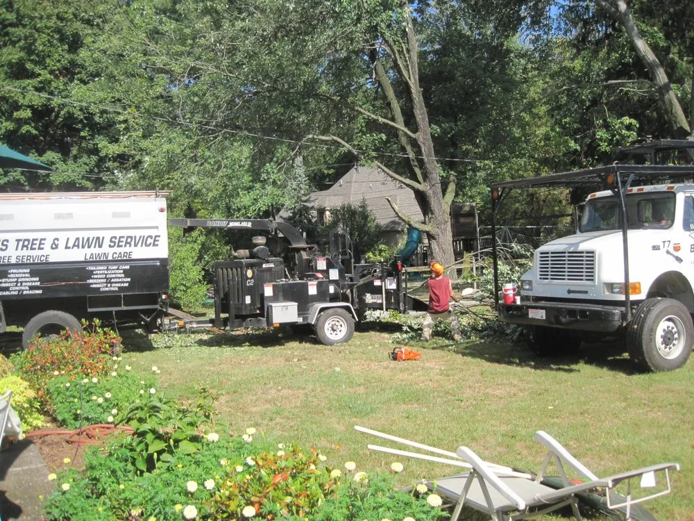 Custom landscaping services experts serving Sellersville, PA - Bair's Tree & Lawn Service