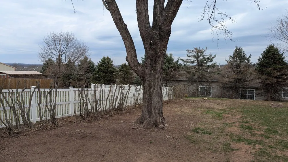 Professional landscape installation in Sellersville, PA - Bair's Tree & Lawn Service