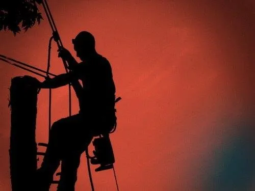 Affordable landscaping services in Sellersville, PA - Bair's Tree & Lawn Service