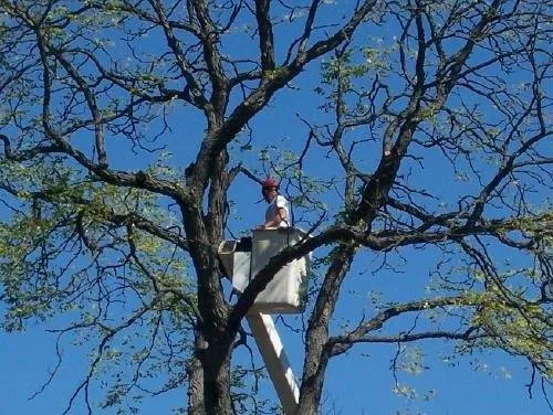 Expert landscaping services with custom design across Sellersville, PA - Bair's Tree & Lawn Service