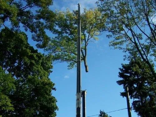 Reliable garden landscaping in Sellersville, PA - Bair's Tree & Lawn Service