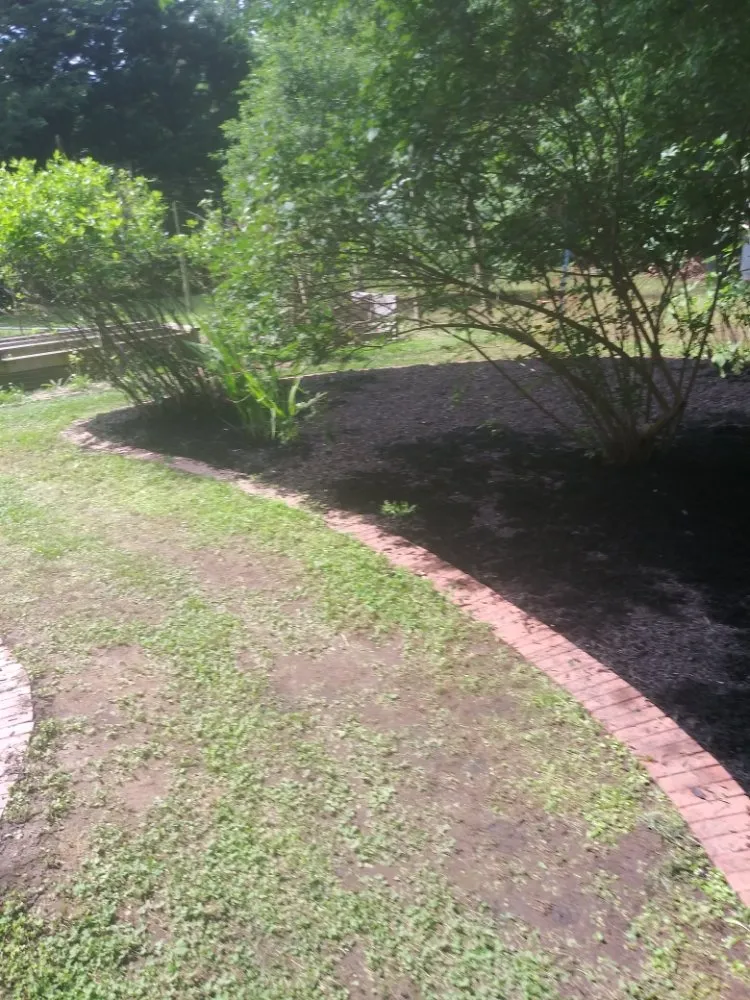 Affordable yard cleanup service for outdoor upgrades in Edgewood, MD by BAJ Landscaping