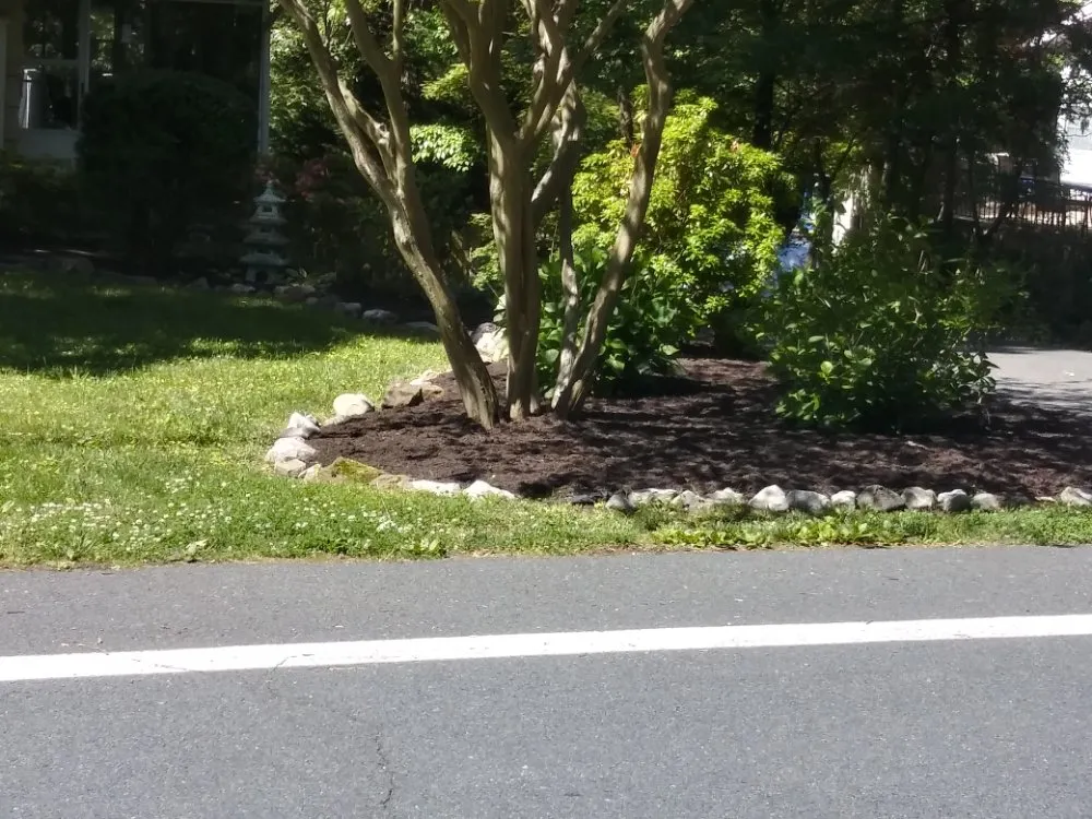 Local yard maintenance for homes across Edgewood, MD - BAJ Landscaping