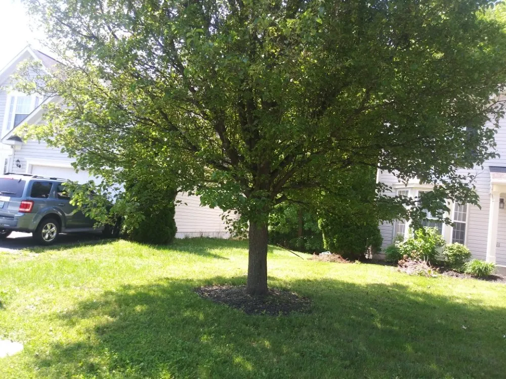 Reliable garden landscaping experts serving Edgewood, MD - BAJ Landscaping