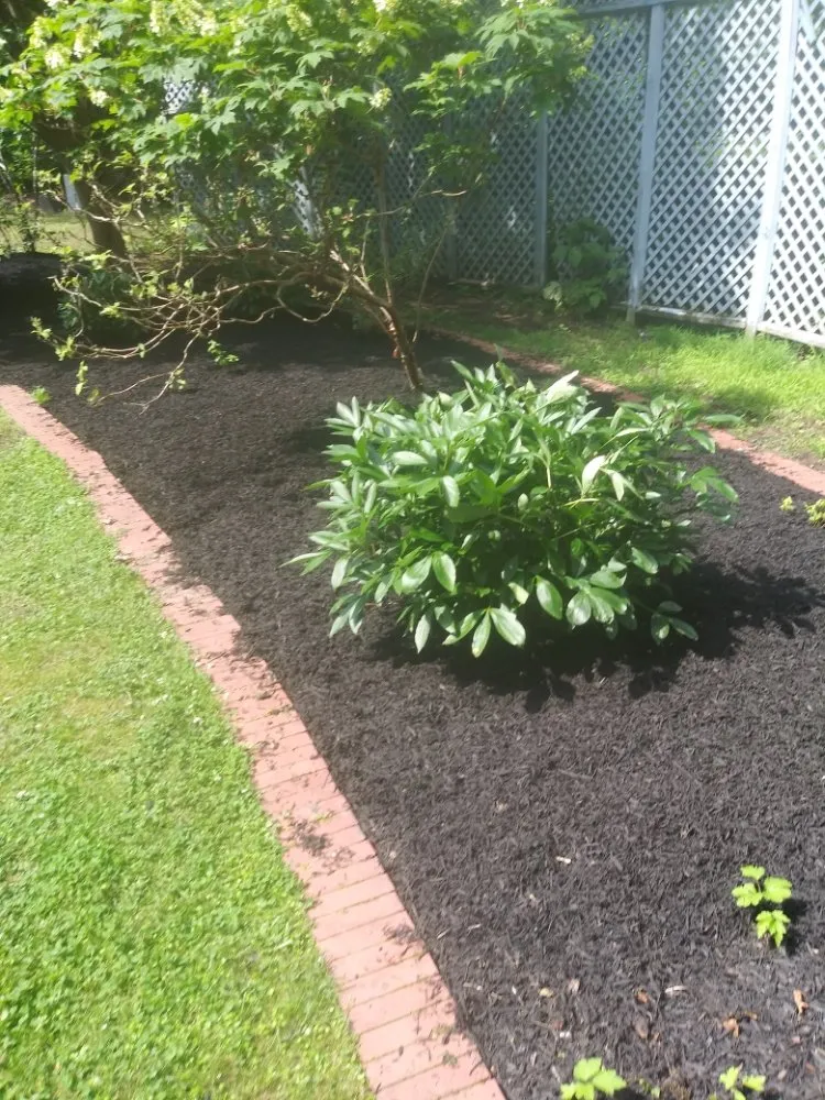 Local garden landscaping in Edgewood, MD - BAJ Landscaping