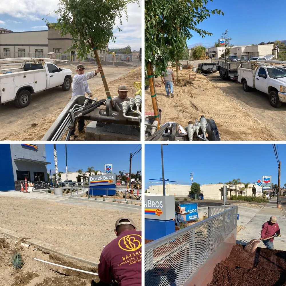 Professional yard cleanup service experts serving Santa Maria, CA - Bajascape