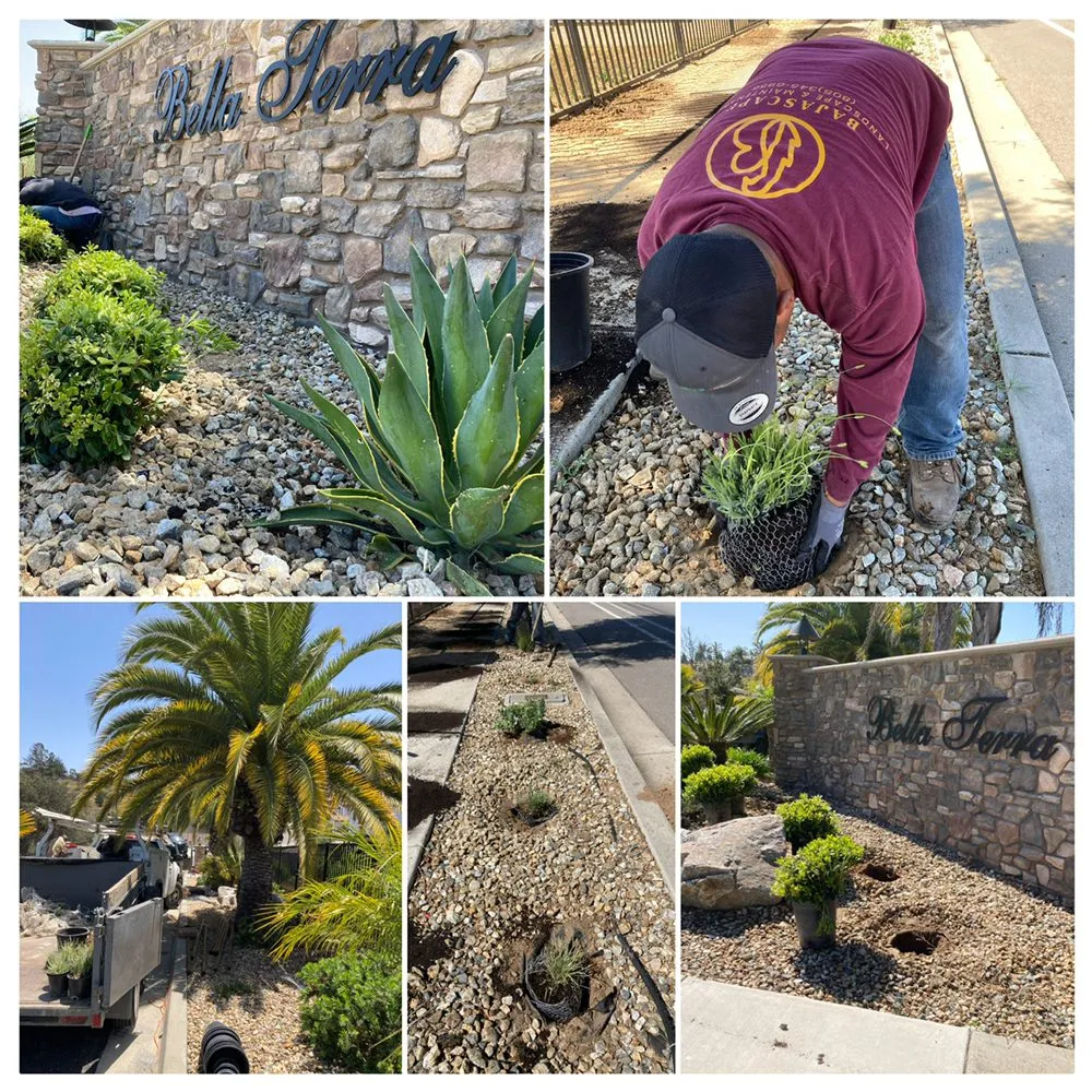 Professional outdoor landscaping experts serving Santa Maria, CA - Bajascape