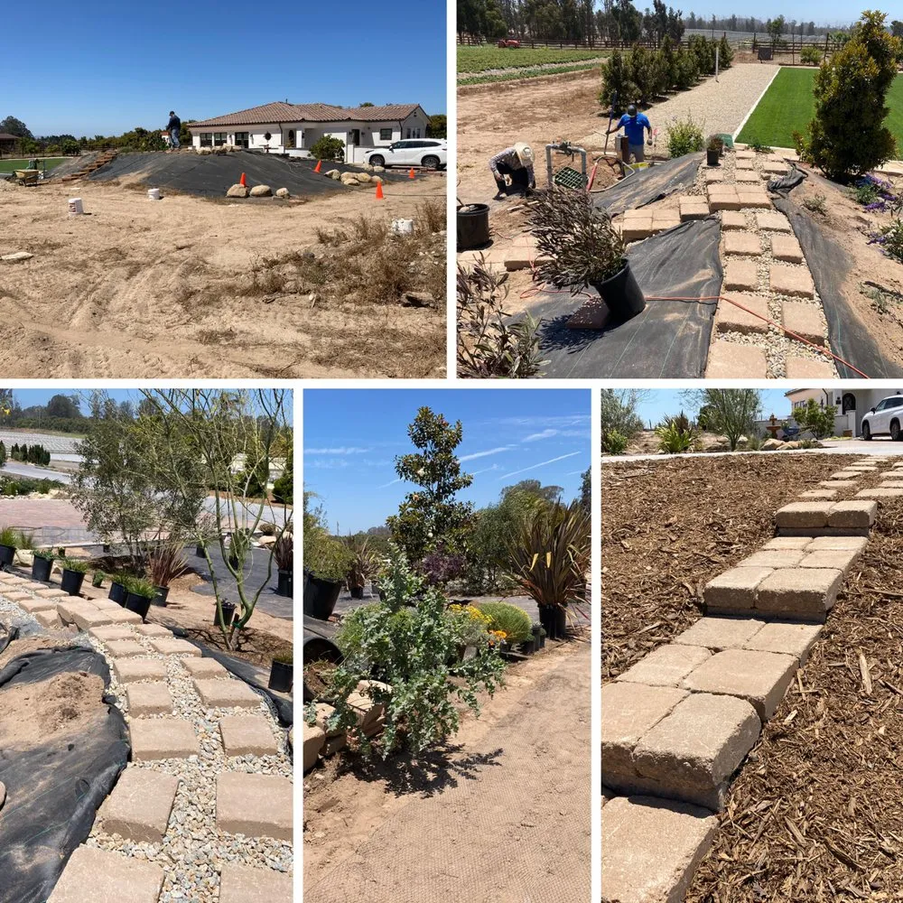 Trusted lawn mowing service for residential properties across Santa Maria, CA - Bajascape