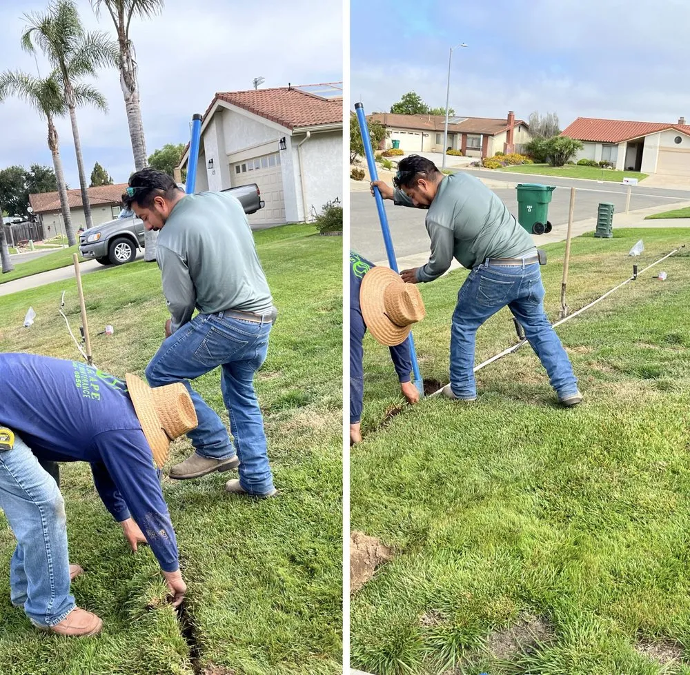Trusted landscape installation in Santa Maria, CA by Bajascape
