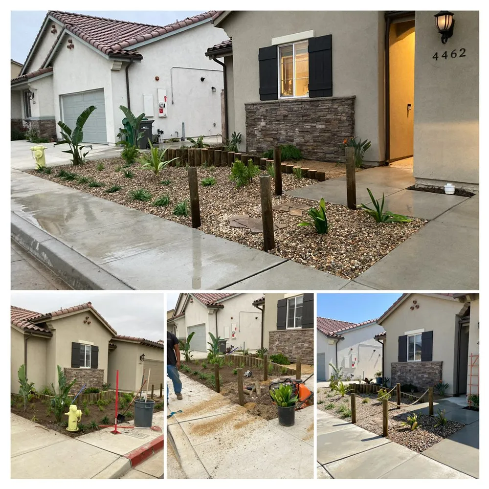 Professional yard maintenance in Santa Maria, CA by Bajascape