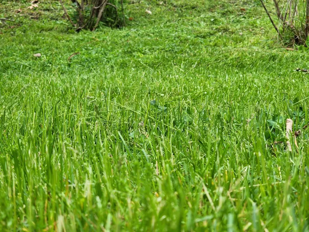 Top-rated residential landscaping with custom design across Highland, NY - Baker & Sons Landscaping