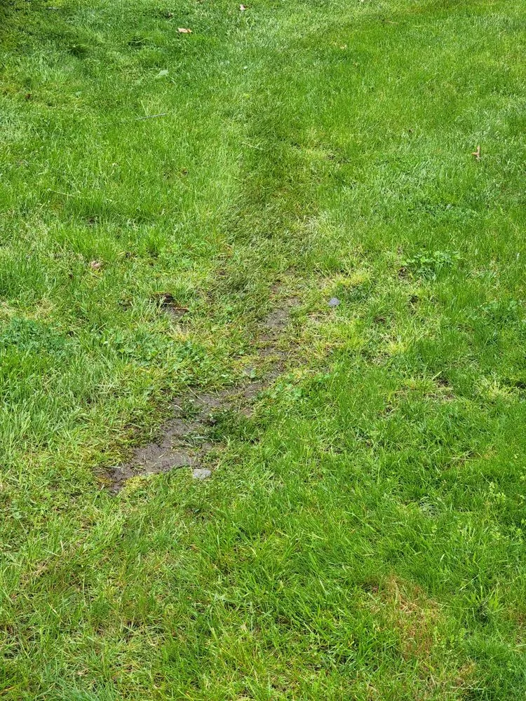 Affordable lawn mowing service in Highland, NY by Baker & Sons Landscaping