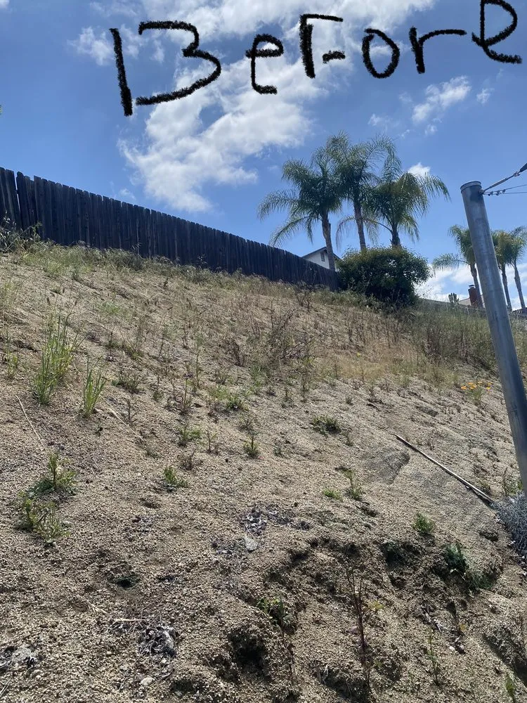 Expert landscaping services for beautiful yards in Lakeside, CA by Baker Abatement