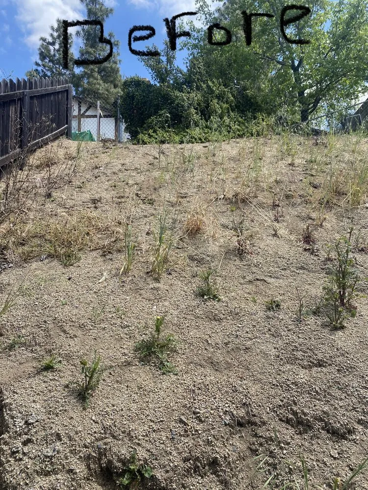 Top-rated landscape design for residential properties in Lakeside, CA by Baker Abatement